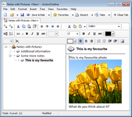 ActionOutline showing a note with a picture